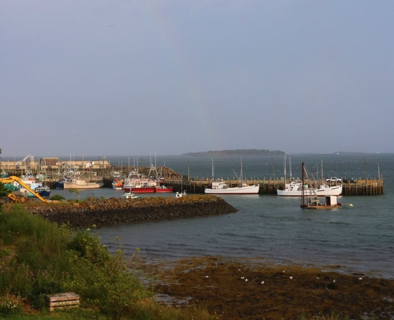 Scotiabank cashing out for good on Grand Manan CBC News