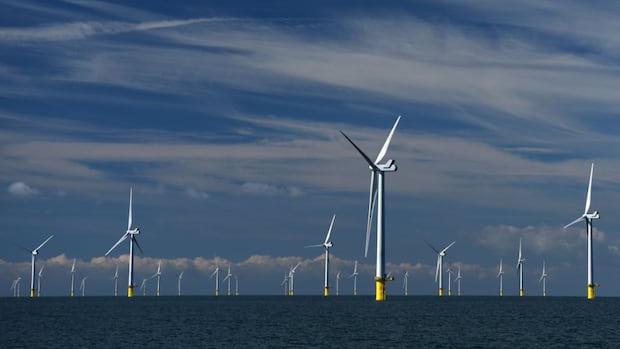 N.S. ports need major upgrades to support offshore wind industry, study finds