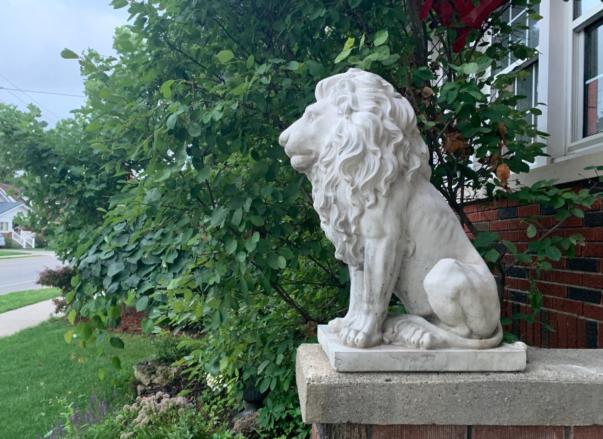 Neighbours work together to bring home stolen lion statues in Old South