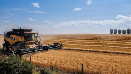 Wheat Harvest 2021