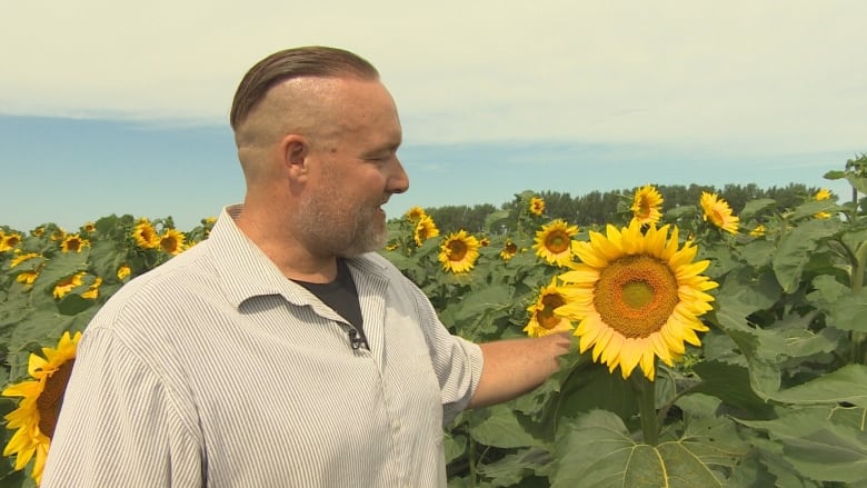 Asunflower high best sale chair canada