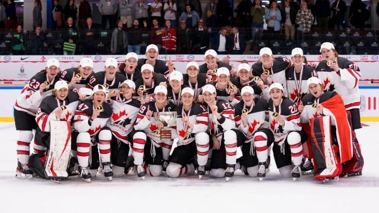 World Cup Of Hockey Team Canada Beats Up Team USA