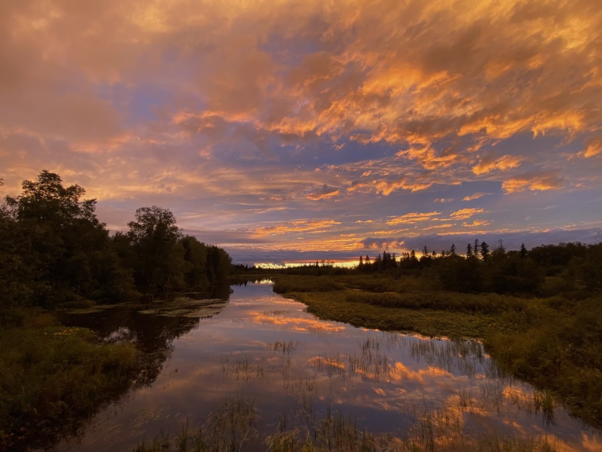 The sky is lighting up in this week's audience photo gallery CBC News