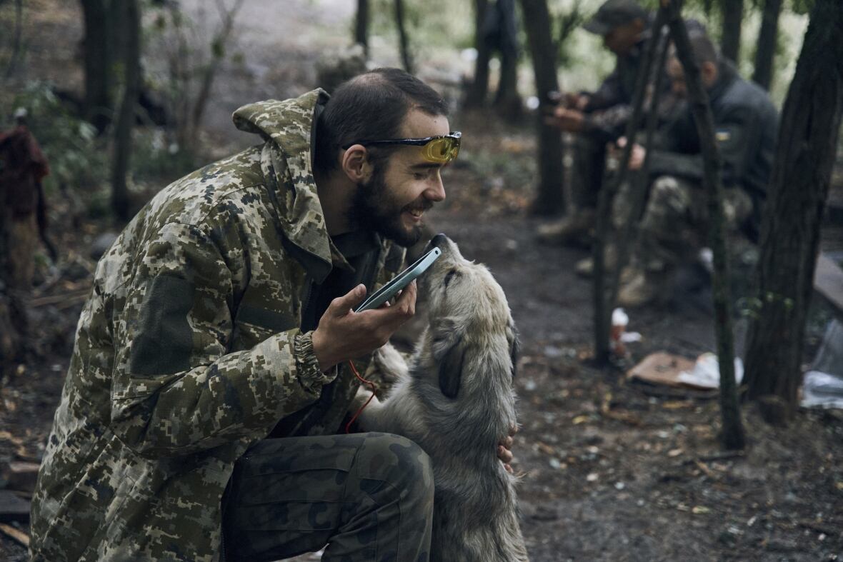 A happy man kneeling to be greeted by a dog.
