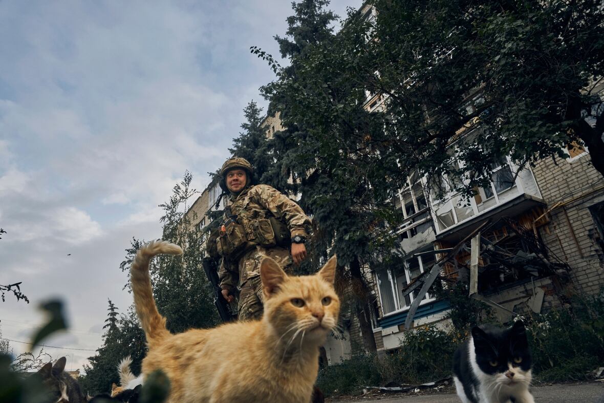 A smiling soldier standing near two cats in front of a damaged low-rise apartment building.