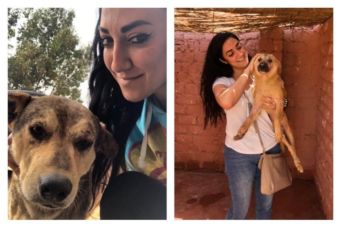 How much of Fiona is covered by insurance?; Canada bans puppy imports