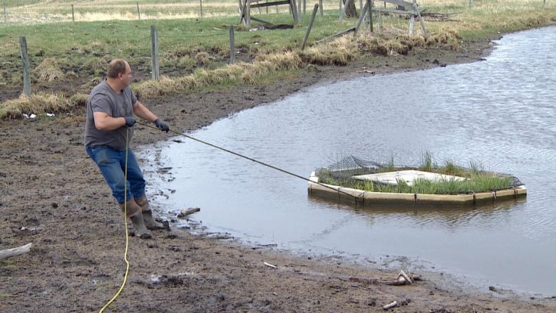 A large, old fishing float that could have been used for either