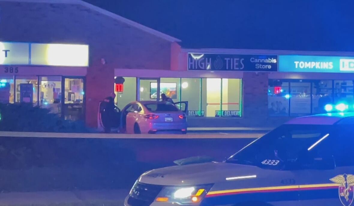 Frantic scene in plaza parking lot after 2 men fatally shot CBC News