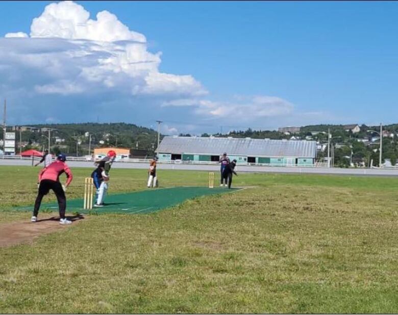 Wicket good: Saint John is about to get its first proper cricket field ...
