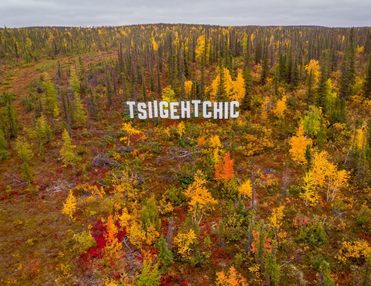 Sign that reads 'Tsiigehtchic' in forest with fall colours. 