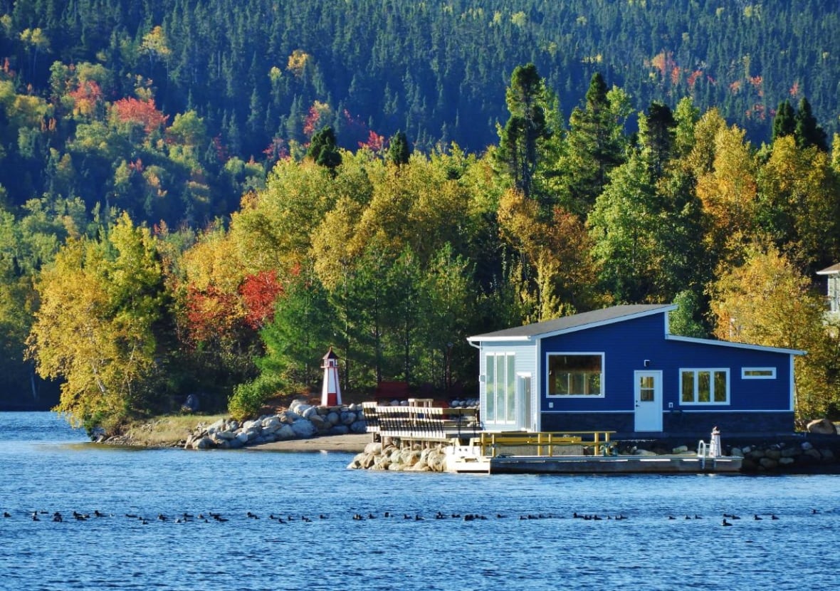 Fall is in full swing across N.L. in this week's audience photo gallery
