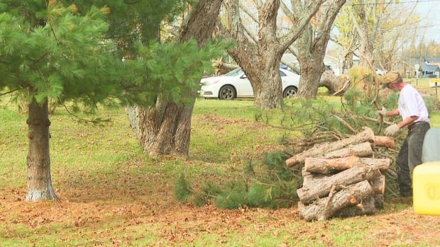 Deadline approaching to place large Fiona debris at curb