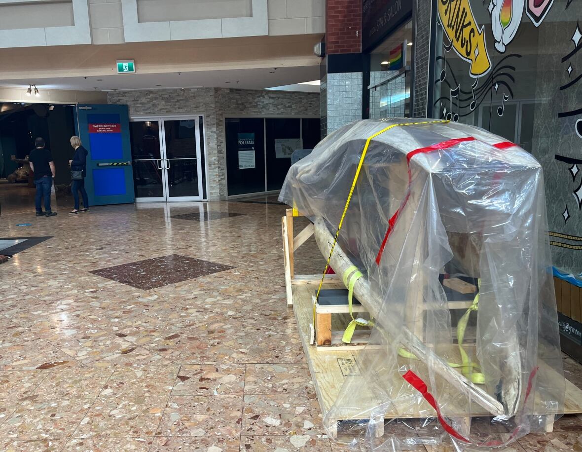 A large artifact, covered in sheets of plastic, sits on a wooden moving structure in a hallway which has a tiled floor. 