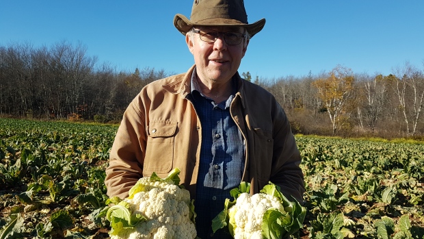 This farmer says he reluctantly throws away enough cauliflower to feed a province; 