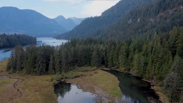 Fine hiked dramatically for man who 'wantonly and flagrantly' poached cedar from First Nation territory; Loughborough Inlet on the B.C. Coast is a culturally and ecologically significant area for the Wei Wai Kum First Nation. Timothy Holland illegally logged cedar in the area from 2017 to 2020.