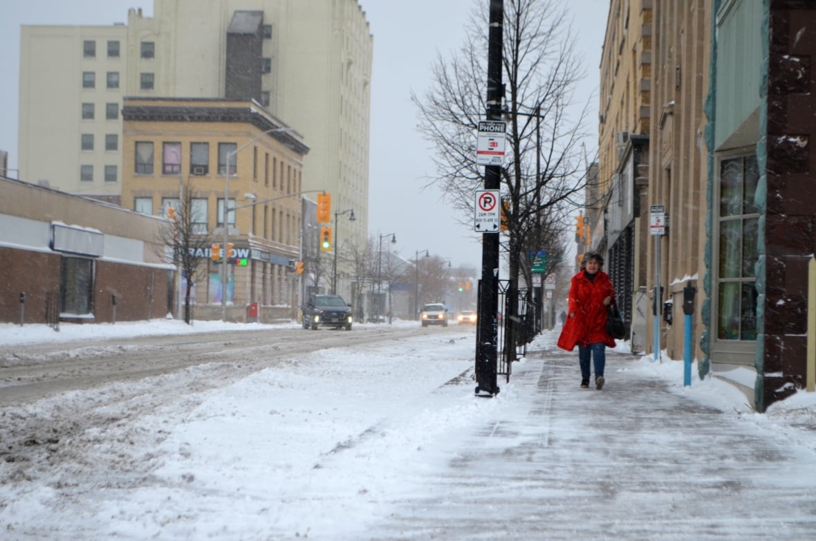 Snow squall warning issued for Thunder Bay, as winter storm rolls through CBC News