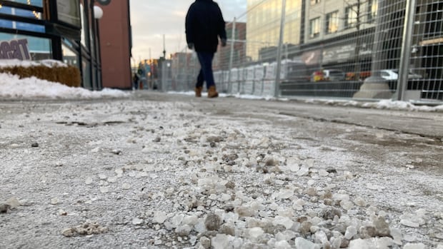 'It will kill life': Cambridge councillor urging city to curb road salt use