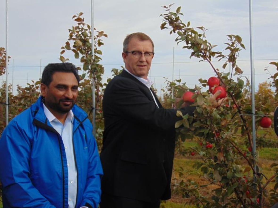 Kamalpreet Khaira is pictured standing in front of then agriculture minister Alan McIsaac at a Canadian Nectar Products event. McIsaac is picking a red apple from the tree.
