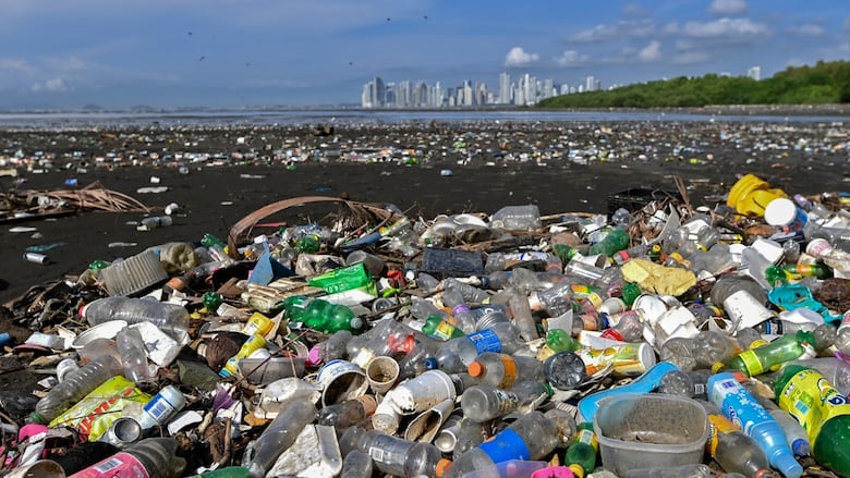 Thousands of plastic bottles and containers are sprawled across black sand with blue water and light blue sky in the background.