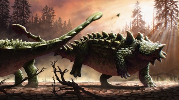 How Dinosaurs Healed: Evidence of Injuries and Recovery in Fossils