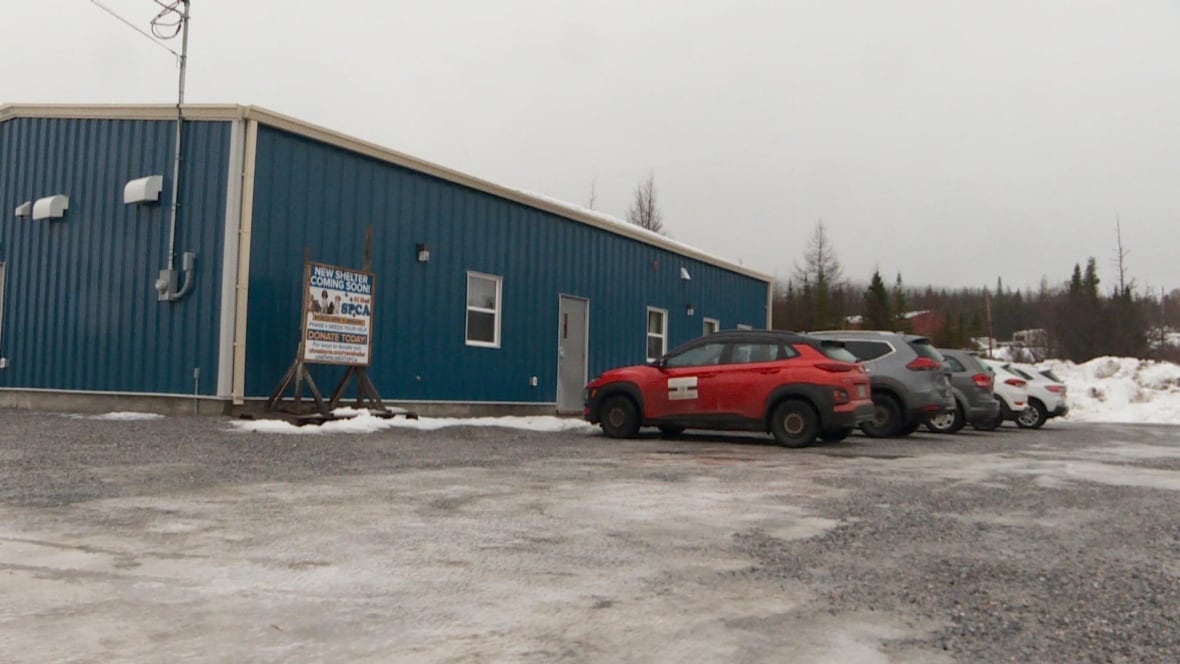 How hard is it to herd 24 cats to a new location? It took the Corner