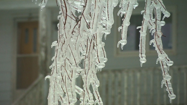 Some schools closed after freezing rain, high winds hit N.B.; Ice accumulated on trees in the Lutes Mountain area on Tuesday morning\.