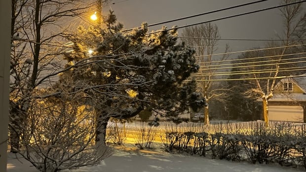 P.E.I. schools closed as snow starts to fall