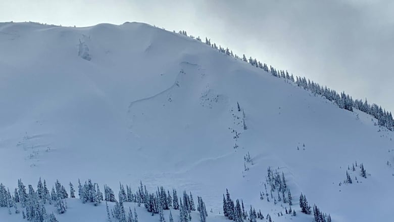 A snowy mountain.