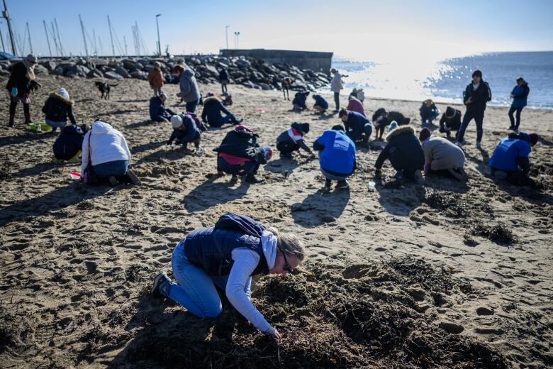 Dozens of people sift through beach sand.