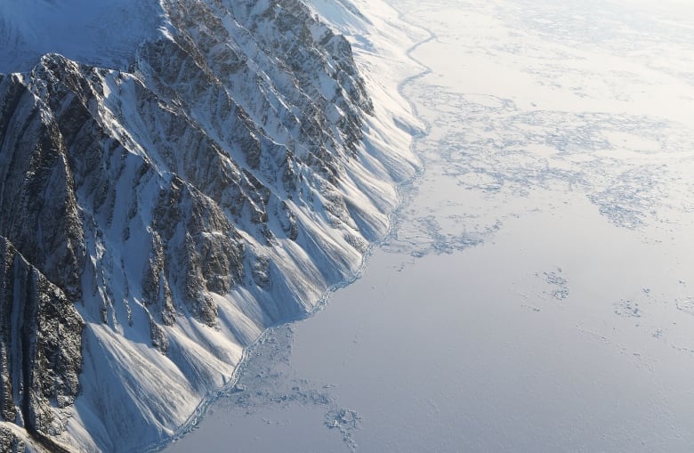 Ellesmere Island is barren and one of the most frigid regions in Canada where deep freeze sets in every winter. 52 million years ago during the Eocene epoch, it was warm and balmy.