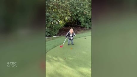 Walker the golfing toddler