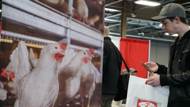 In Ontario, worries of an even deadlier pandemic start with chickens