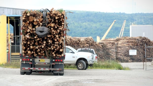 2 large N.S. exporters say they’re prepared for U.S. tariffs