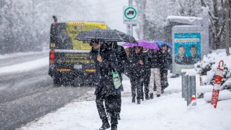 SNOW WINTER