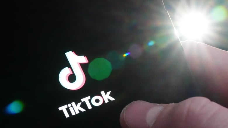 Politicians on TikTok? It's 'not a great look,' security experts say