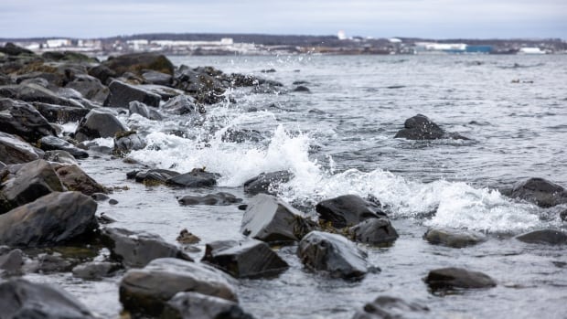 Old maps reveal how much of Point Pleasant Park has been lost to erosion