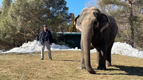 Lucy the elephant