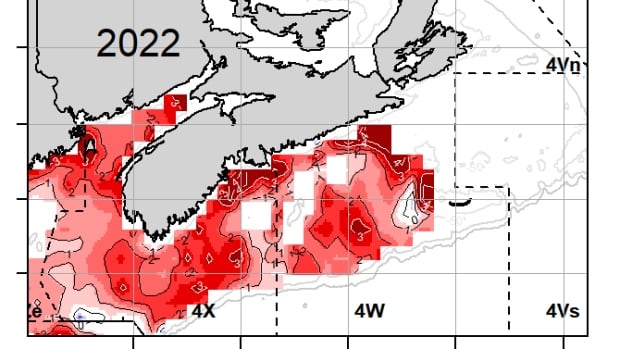 Ocean temperatures soared to new 'pretty alarming' highs off Nova Scotia in 2022