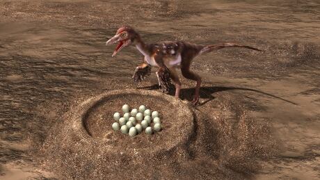 Troodont with nest