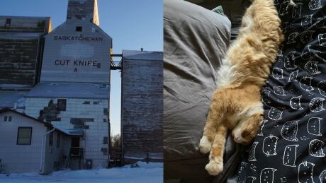 Cut Knife with Tuc the cat