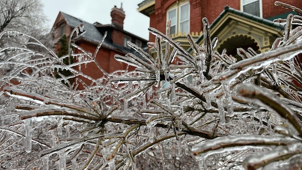 Ice storm set to hit Guelph, southern Wellington County this weekend