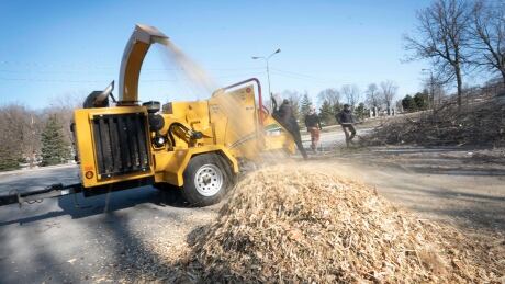 woodchipper ice storm trees montreal