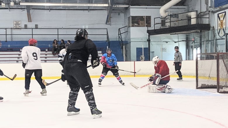 In A Hockey Arena Not So Far Away