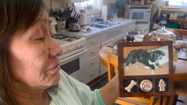 2nd dog attack in 4 years prompts woman in Fort Simpson, N.W.T., to call for action