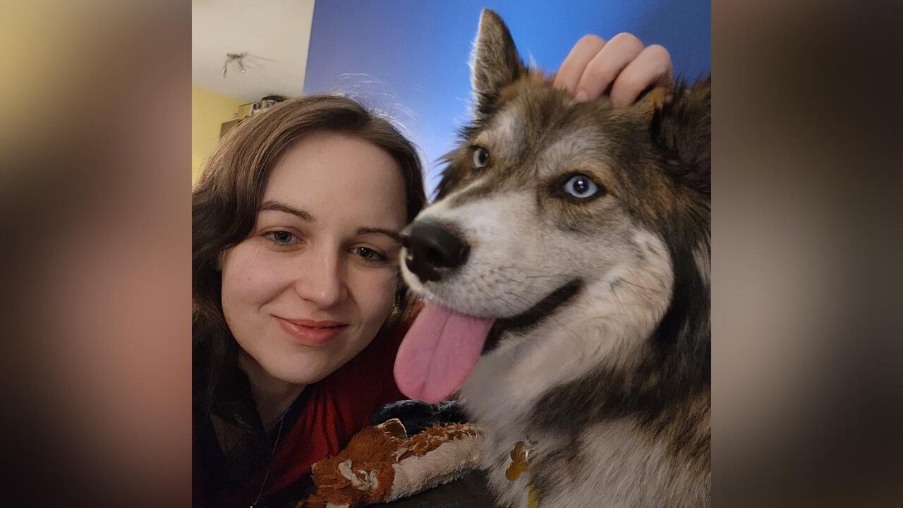 Can A Dog Have Mental Issues