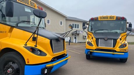 electric buses