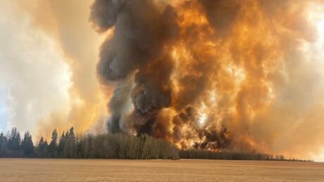 Wildwood fire