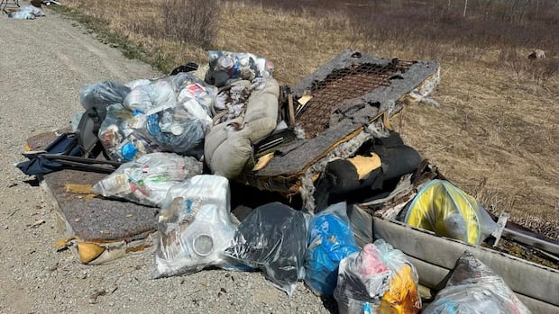 CBRM tackles its trash troubles, considers fines for litterbugs