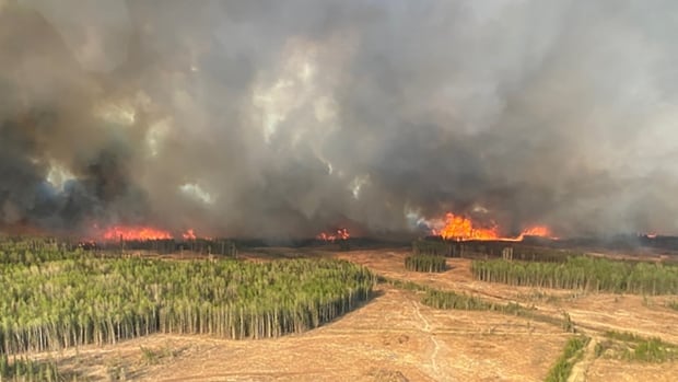 Meteorologist offers some optimism as rain falls on some Alberta wildfires