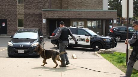 police-dog.jpg